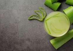 Aloe vera - a természetes bőrnyugtató pikkelysömör kezelésére