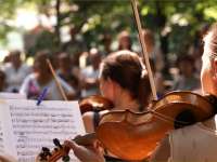 Május 25-26.-án ismét „Muzsikál az erdő” a Hírös Városban - zenés családi rendezvény 